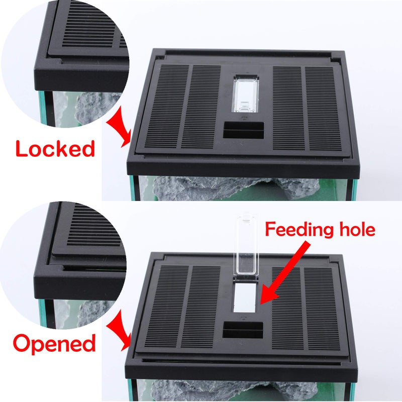 crapelles Black Small Vertical Insect GlassTerrarium, 7.8x7.8x10.8'' Reptile Tank, for Tarantula Larvae Caterpillar Frog Snail Spider Hermit Crab Habitat Container House Cricket Breeding Box - Image 2